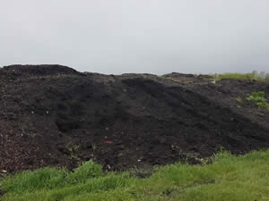 A picture of compost