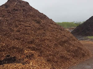 A picture of ground mulch