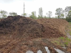 A picture of wood chips
